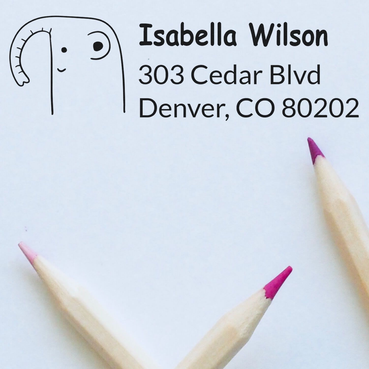 Custom rubber return address stamp proof with snail logo, Isabella Wilson, 303 Cedar Blvd, Denver, CO 80202.