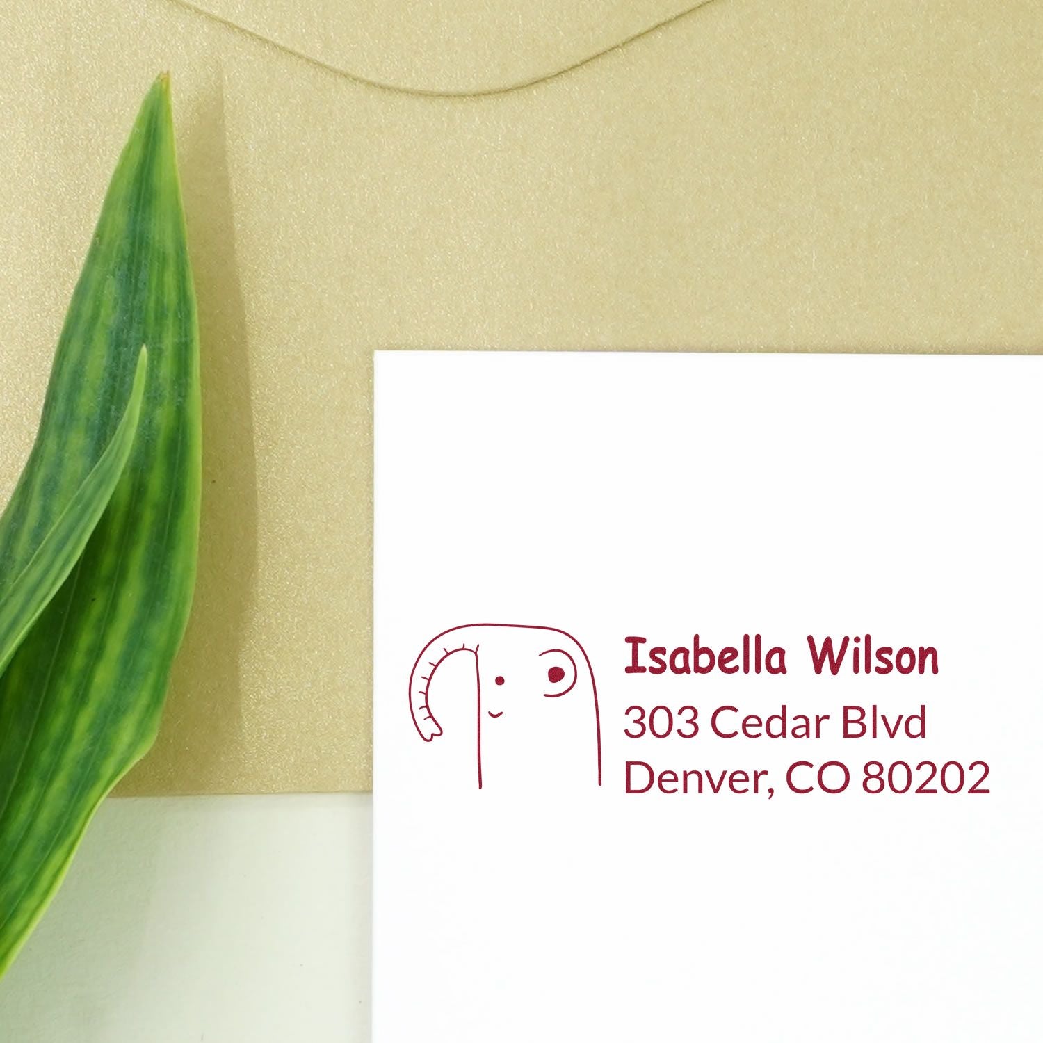 Personalized return address rubber stamp with name and Denver, CO address for envelopes, cards, and stationery.