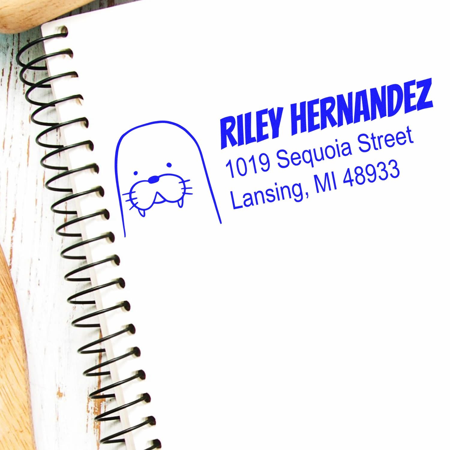 Custom rubber stamp with cat icon and return address for Riley Hernandez, 1019 Sequoia Street, Lansing, MI 48933.