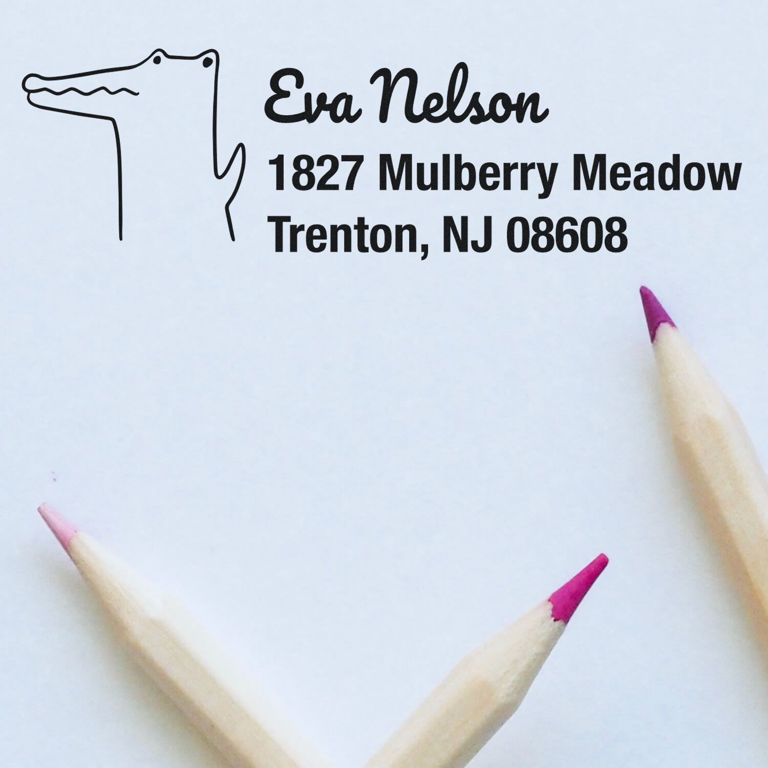 Custom return address rubber stamp with alligator design for Eva Nelson, Trenton, NJ 08608