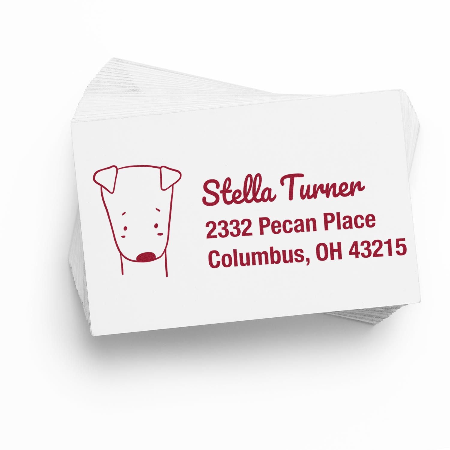 Custom dog return address rubber stamp with name and Columbus, OH mailing address for envelopes