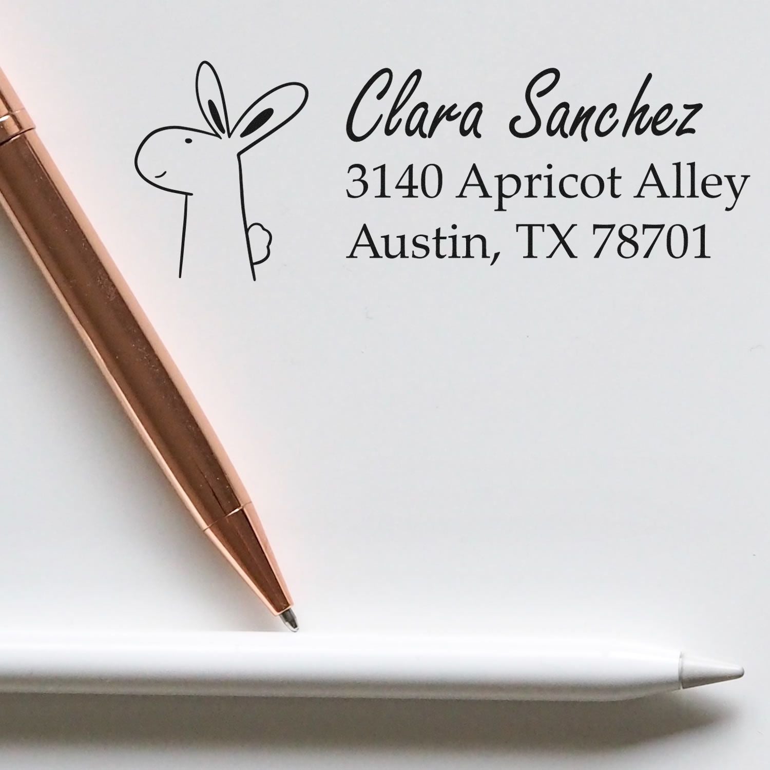 Custom return address rubber stamp with rabbit design, personalized for Clara Sanchez, Austin, TX.