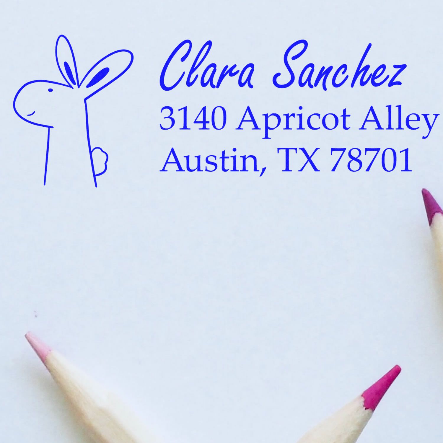 Personalized bunny rubber address stamp with Clara Sanchez, 3140 Apricot Alley, Austin, TX 78701 for custom mailing.
