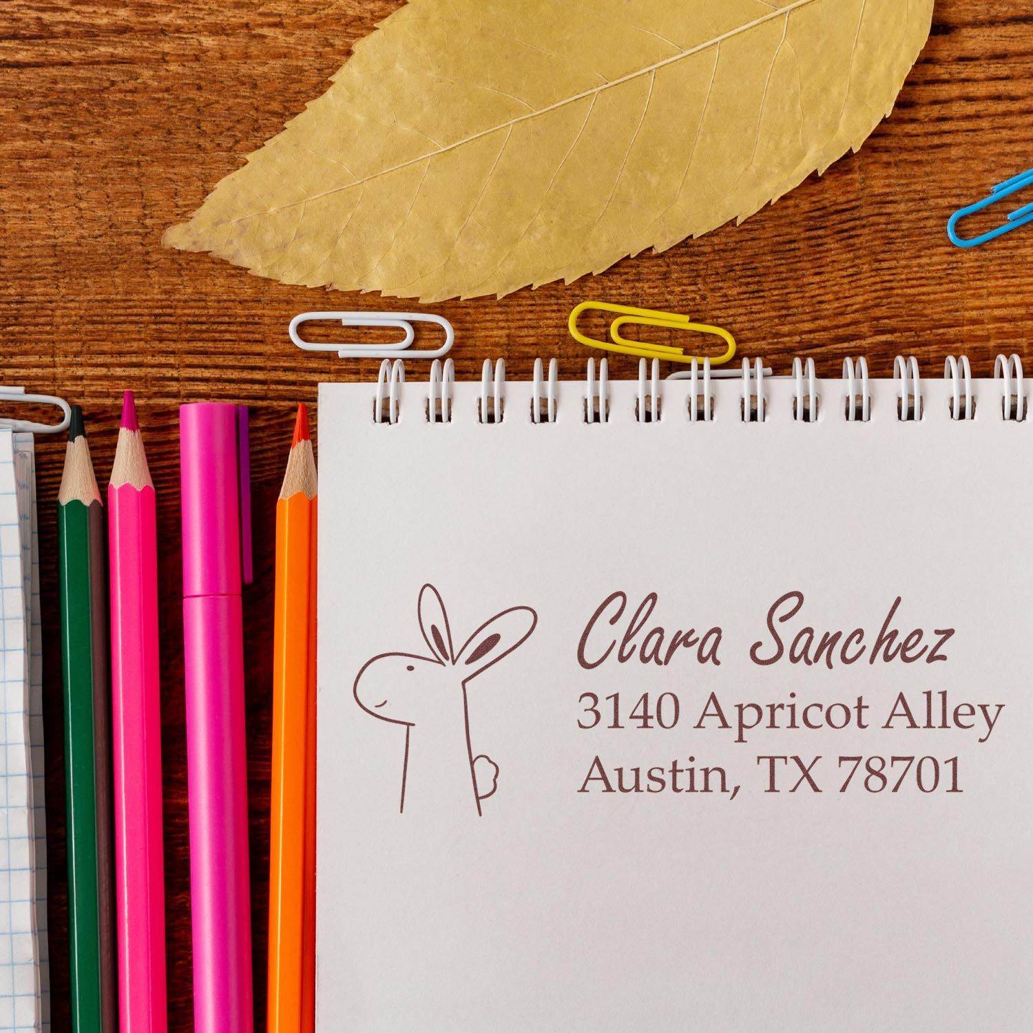 Custom rabbit address rubber stamp on a notebook with name and Austin, TX return address, shown with stationery.