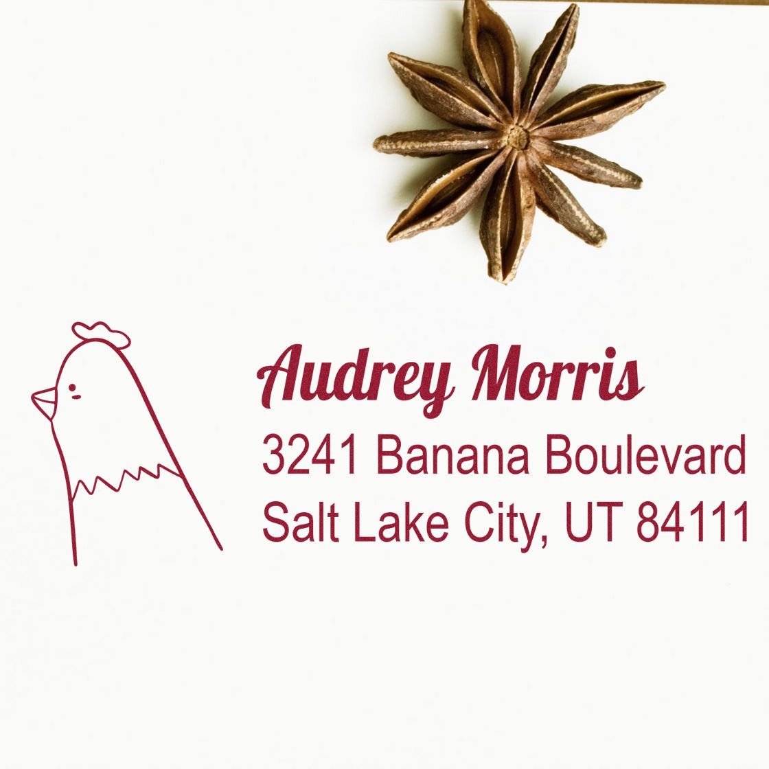 Custom return address rubber stamp with chicken icon, star anise, and Audrey Morris, Salt Lake City, UT.