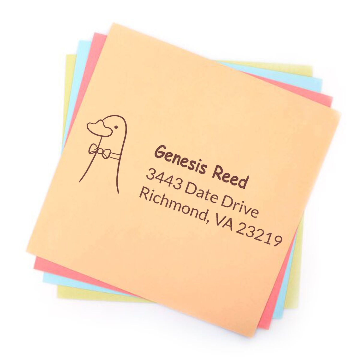 Custom rubber address stamp with duck illustration, name, and Richmond, VA address on colorful paper stack.