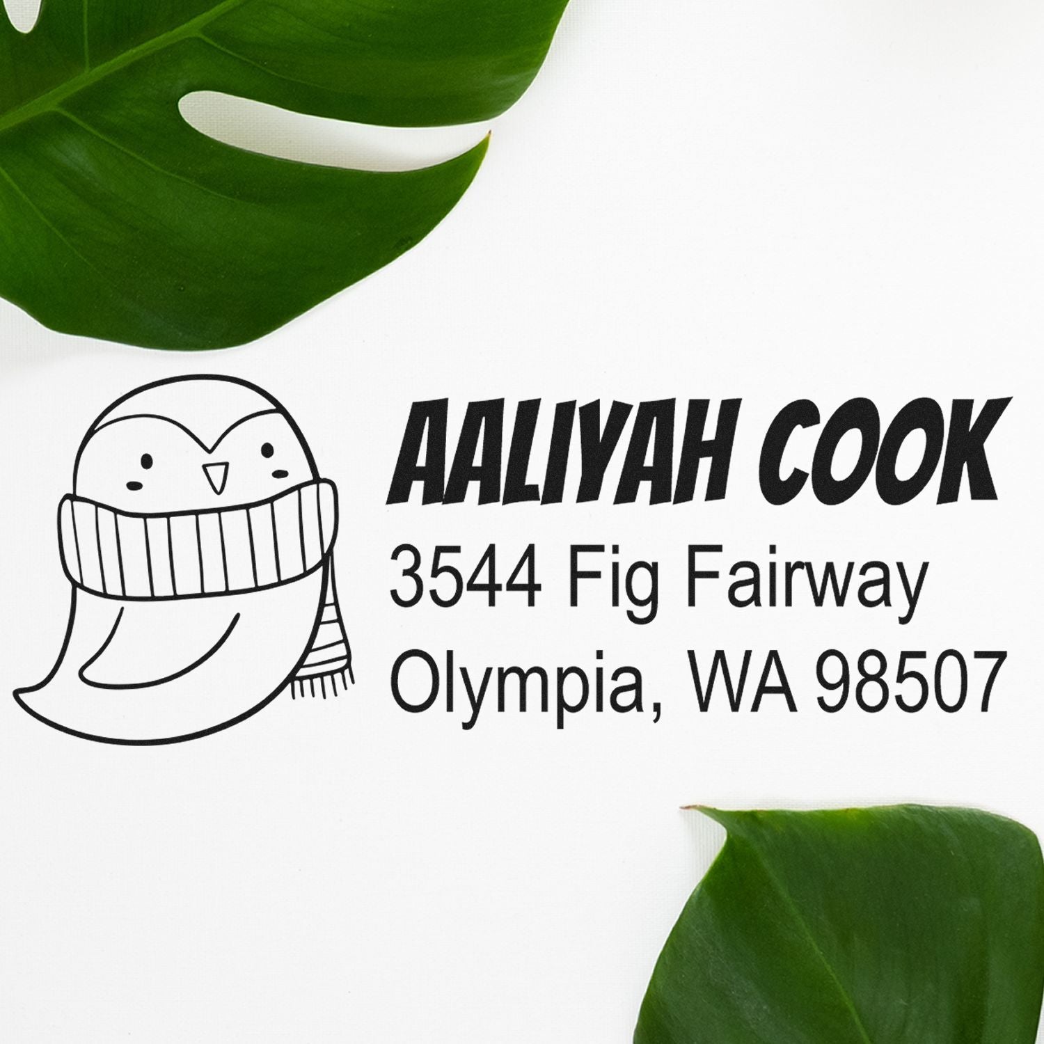 Custom return address rubber stamp for Aaliyah Cook, featuring owl logo and Olympia, WA 98507 address.