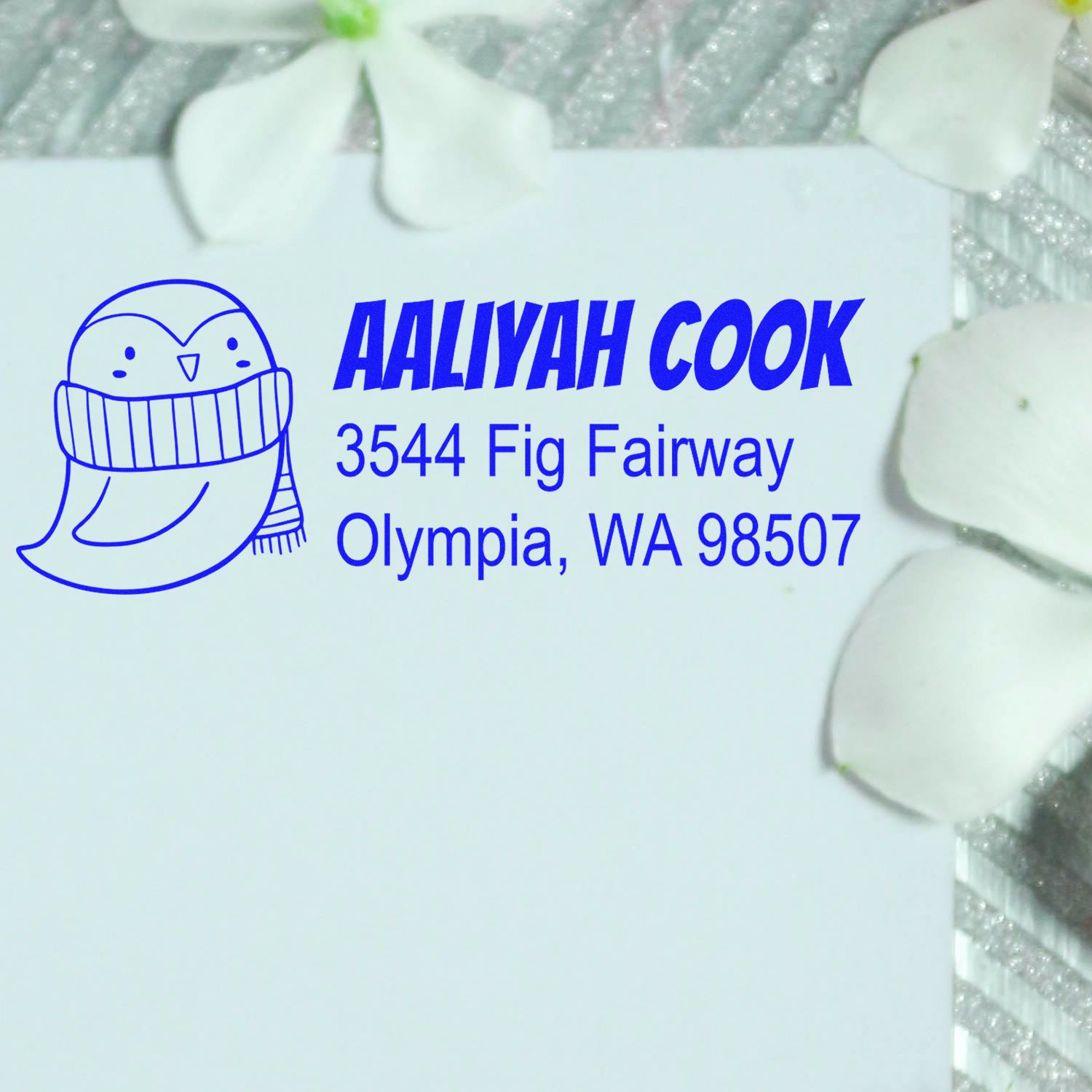 Custom return address rubber stamp for Aaliyah Cook, Olympia WA, with owl logo for envelopes, mailings, and stationery.
