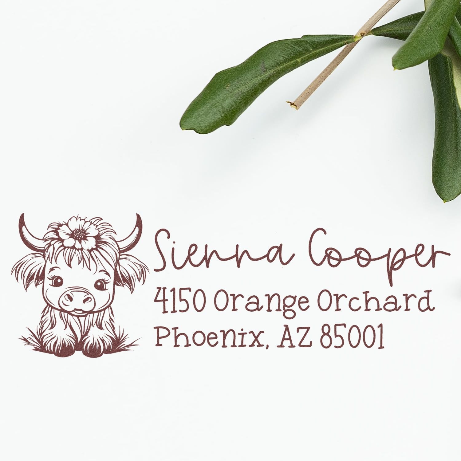 Custom cow return address rubber stamp for Sienna Cooper, Phoenix, AZ 85001