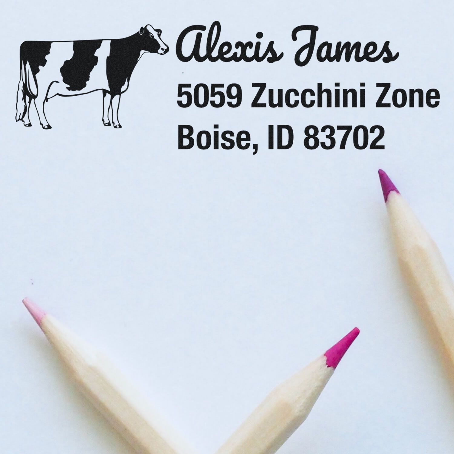 Custom rubber return address stamp with cow icon for Alexis James, Boise, ID 83702