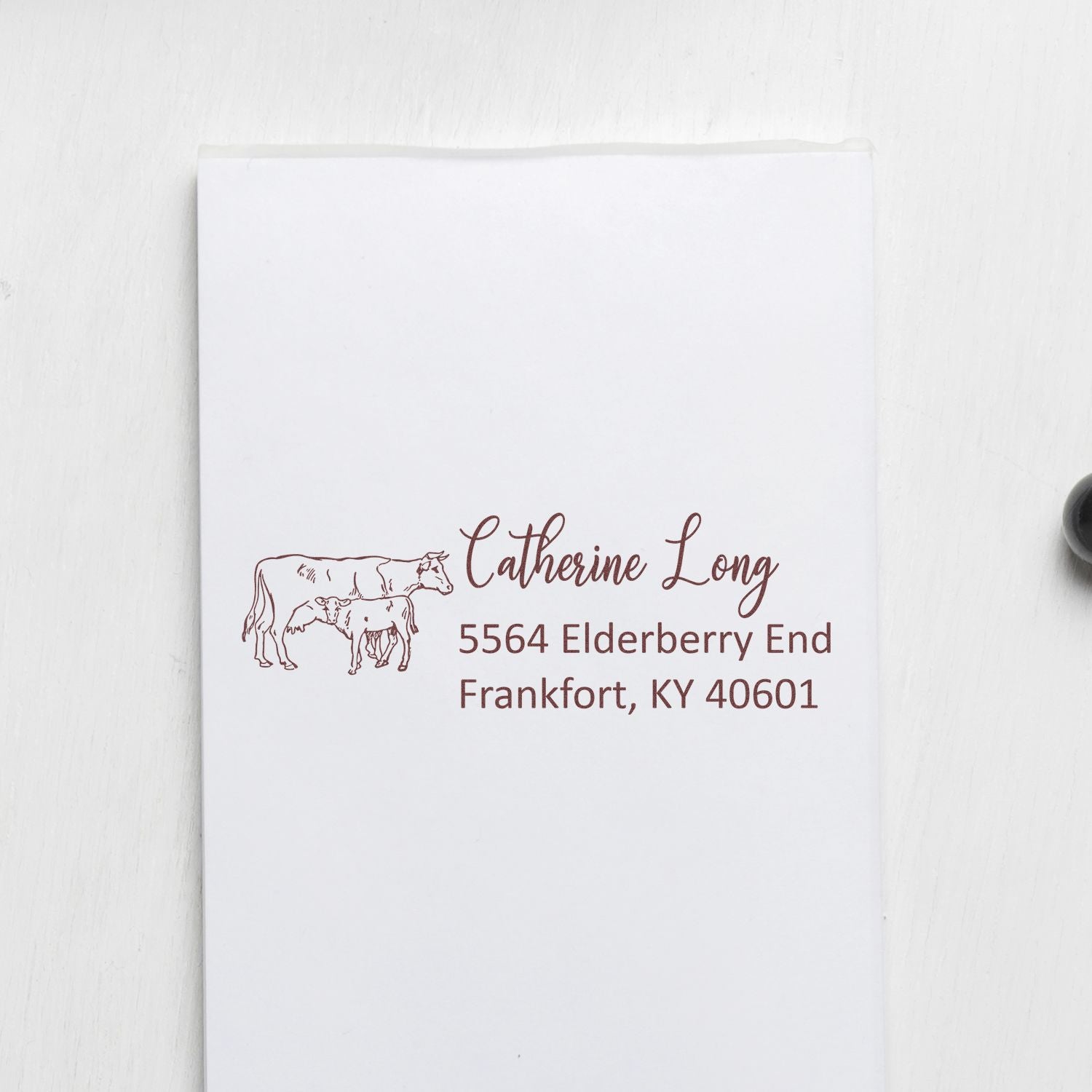 Custom cow and calf return address rubber stamp on envelope with name and Frankfort, KY address.