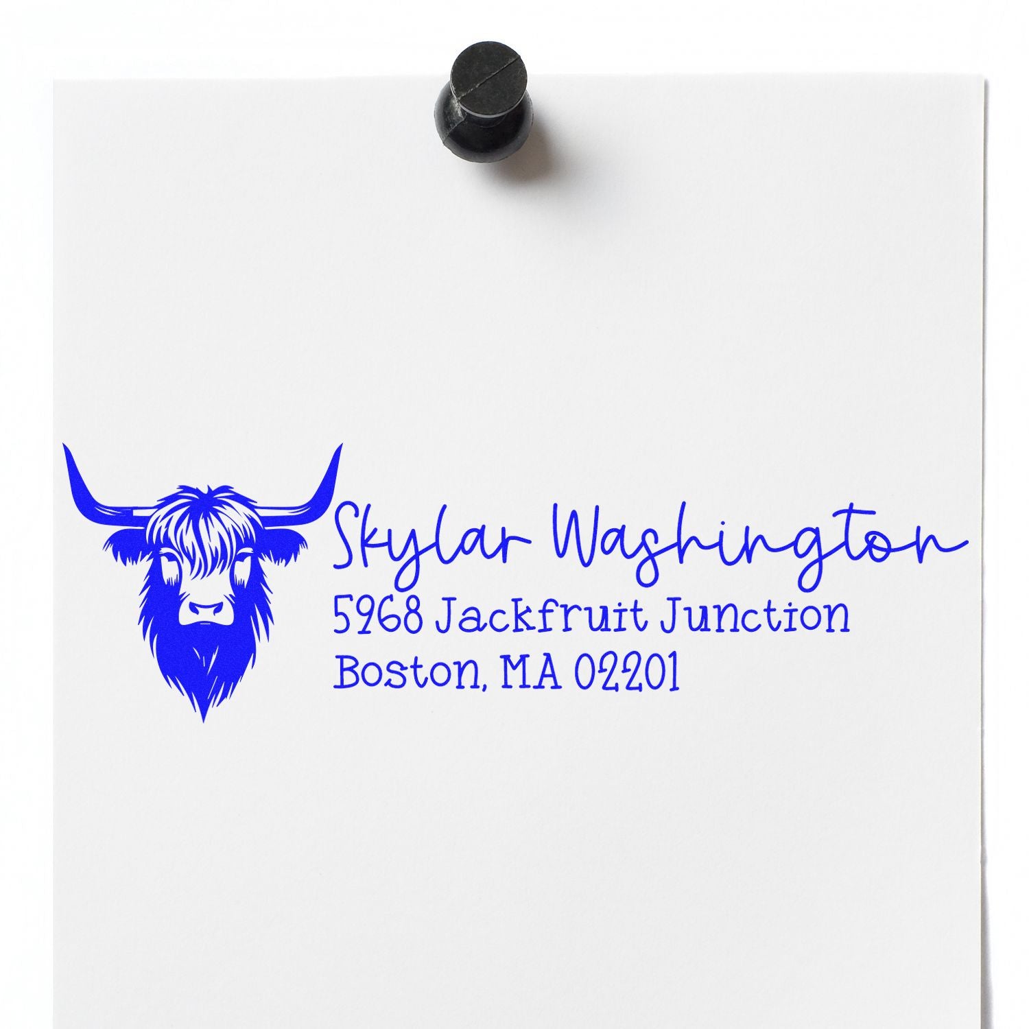 Custom rubber address stamp with longhorn logo for Skylar Washington, Boston MA 02201, shown in blue ink on white paper.