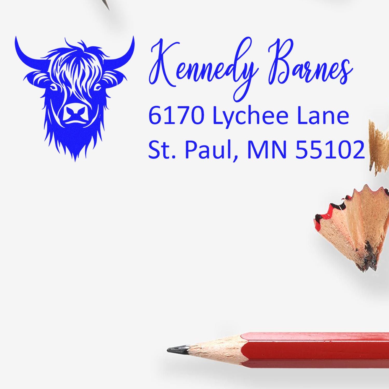 Custom return address rubber stamp with buffalo design for Kennedy Barnes, 6170 Lychee Lane, St. Paul, MN.