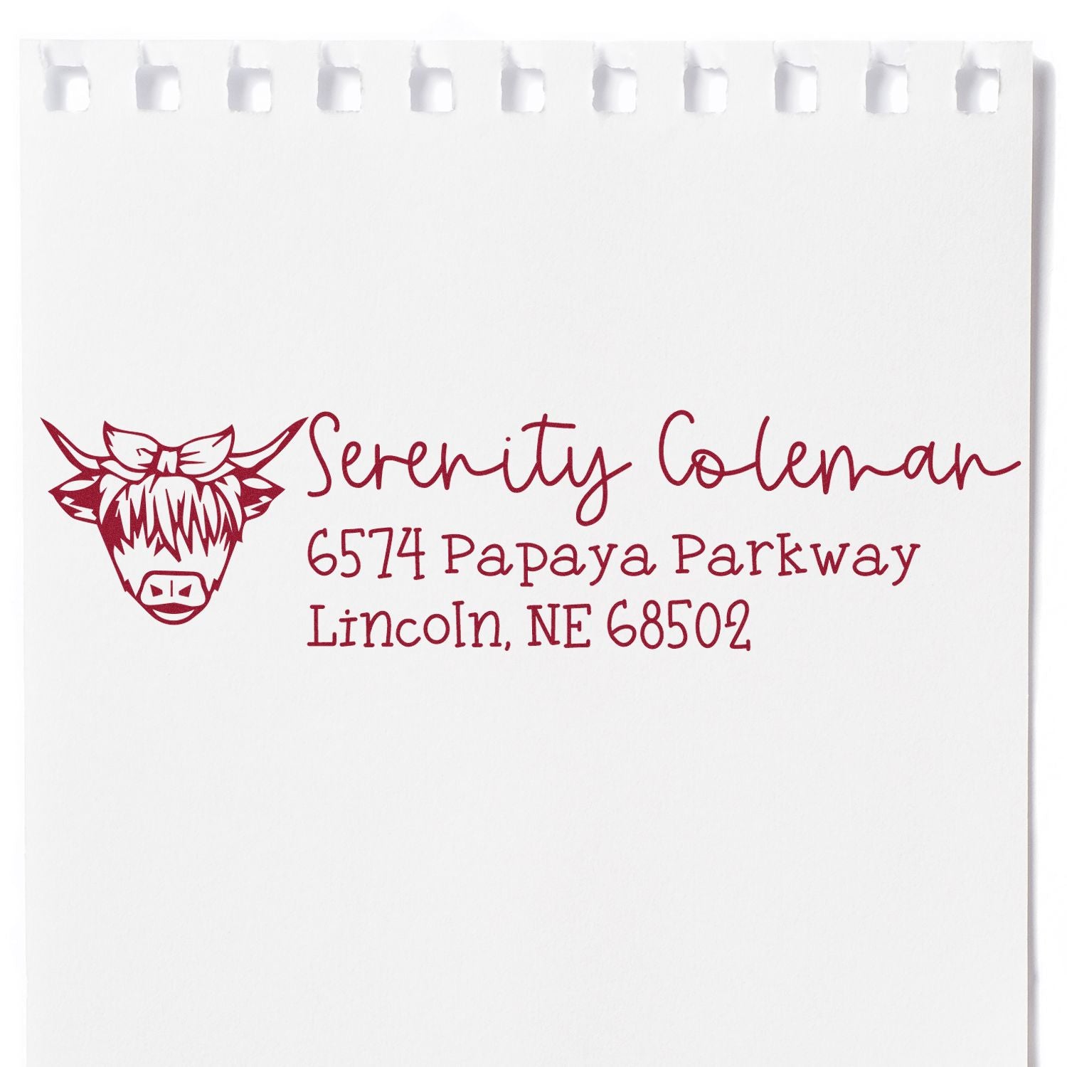 Custom return address rubber stamp with cow logo for Serenity Coleman, 6574 Papaya Parkway, Lincoln, NE 68502.