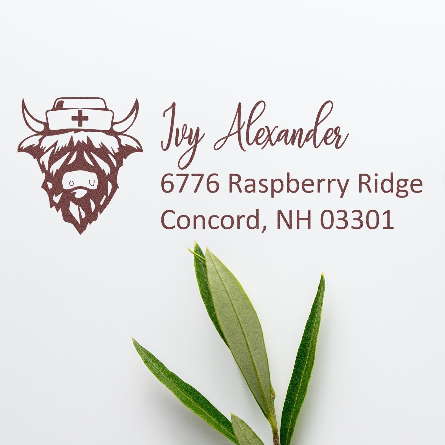 Custom return address rubber stamp with nurse Highland cow logo, Ivy Alexander name, and Concord, NH 03301 address.
