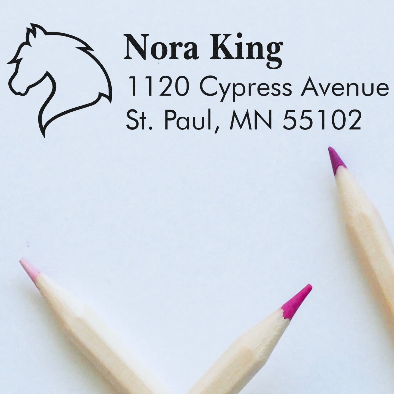Custom horse head address rubber stamp for Nora King, 1120 Cypress Avenue, St. Paul, MN 55102.