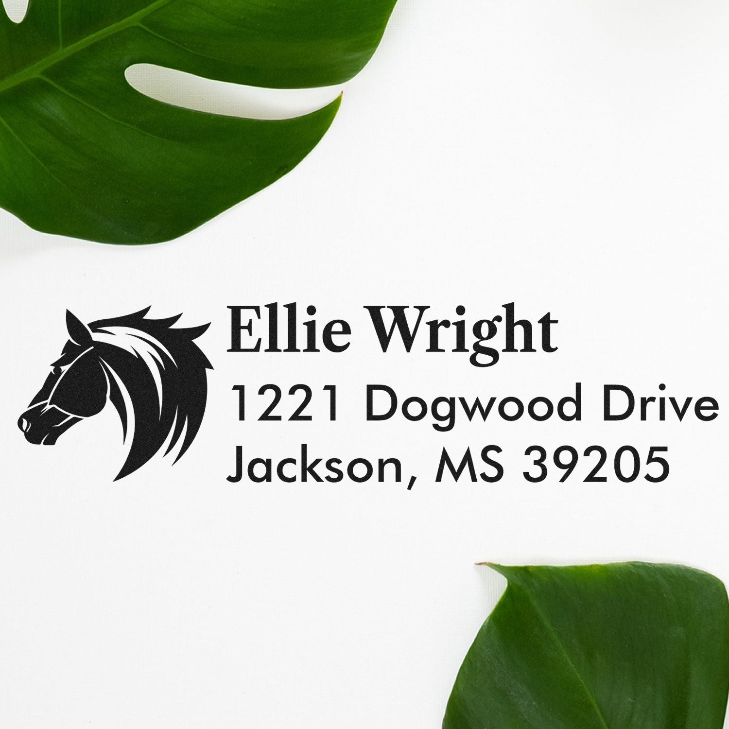 Custom horse address rubber stamp with Ellie Wright, 1221 Dogwood Drive, Jackson, MS 39205