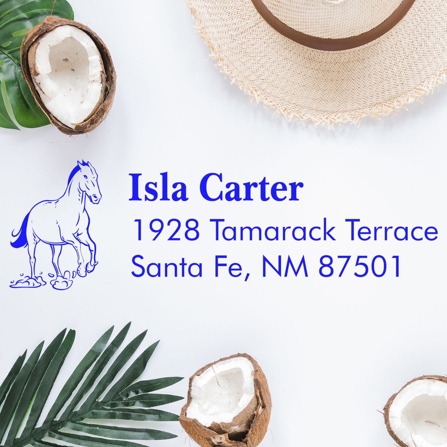 Personalized horse return address rubber stamp with Isla Carter, Santa Fe, NM address in blue ink