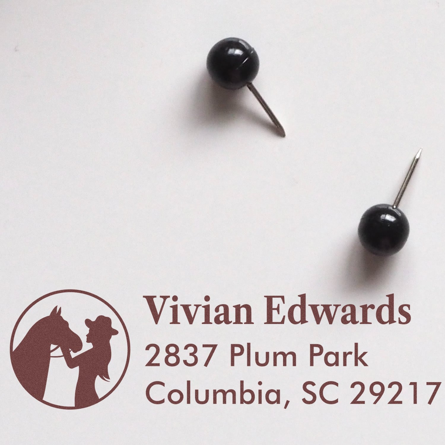 Custom horse-and-rider rubber stamp proof with Vivian Edwards address, Columbia, SC 29217, for personalized mailing.