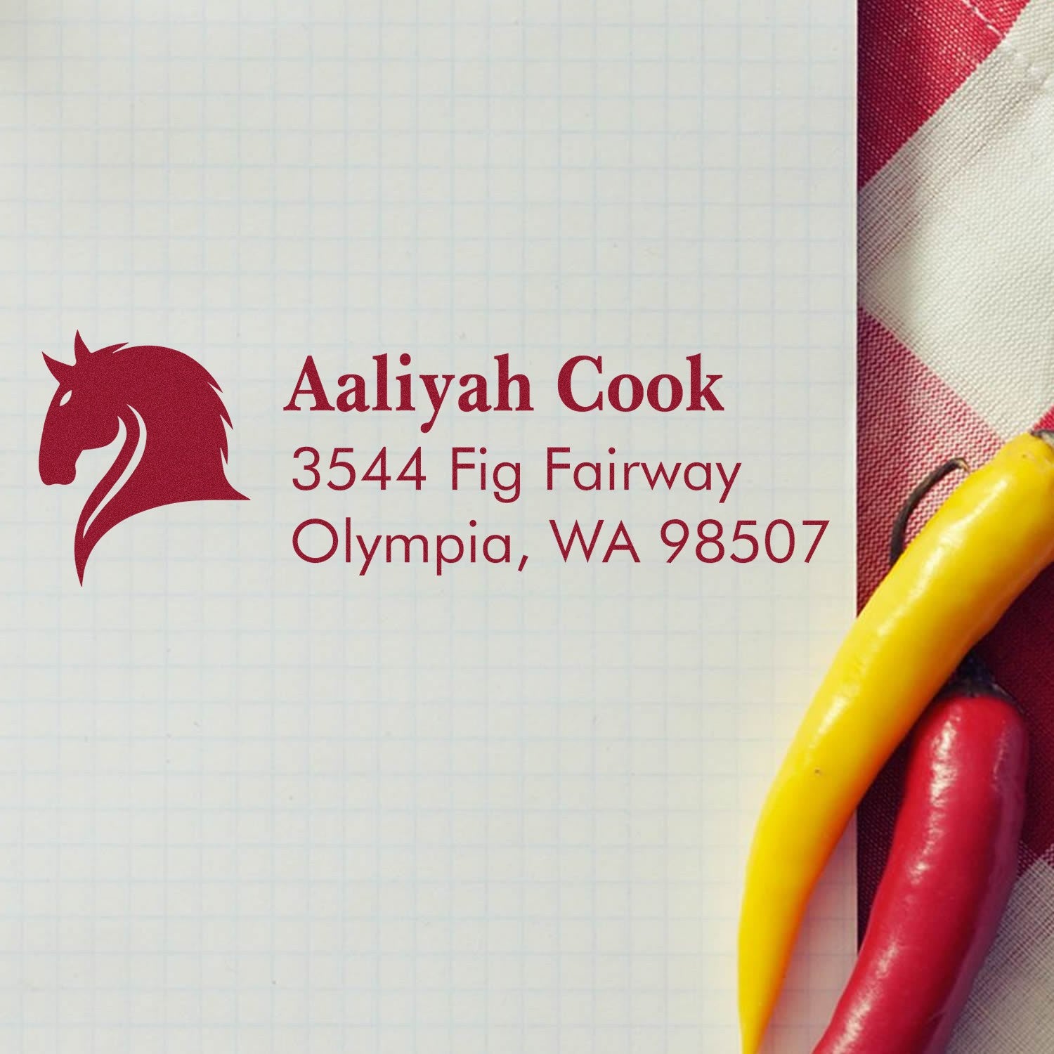 Custom horse return address rubber stamp for Aaliyah Cook in Olympia, WA 98507.