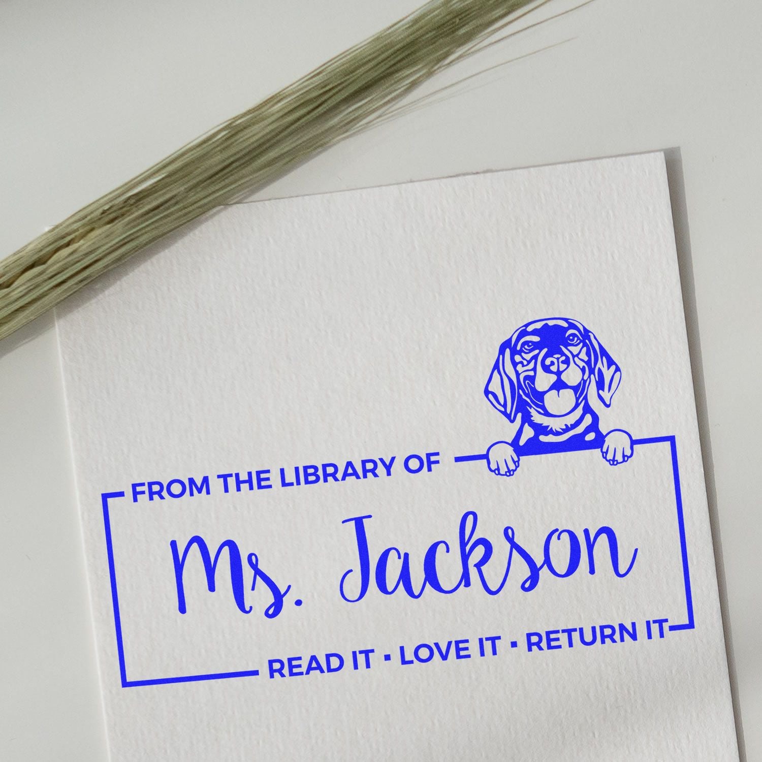 Personalized library rubber stamp with dog illustration and From the Library of Ms. Jackson bookplate text for books.