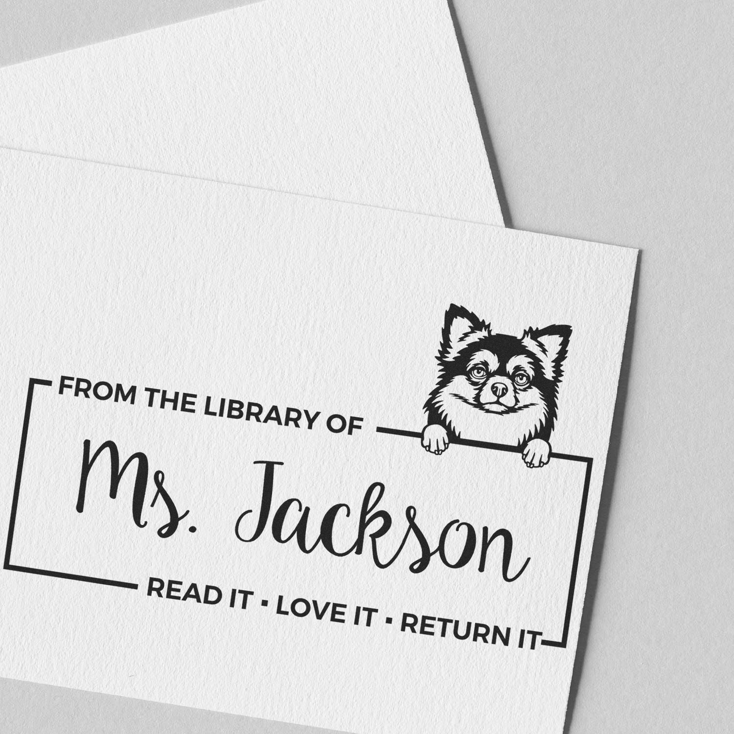 Library rubber stamp reading From the library of Ms. Jackson with dog illustration and return-it reminder.