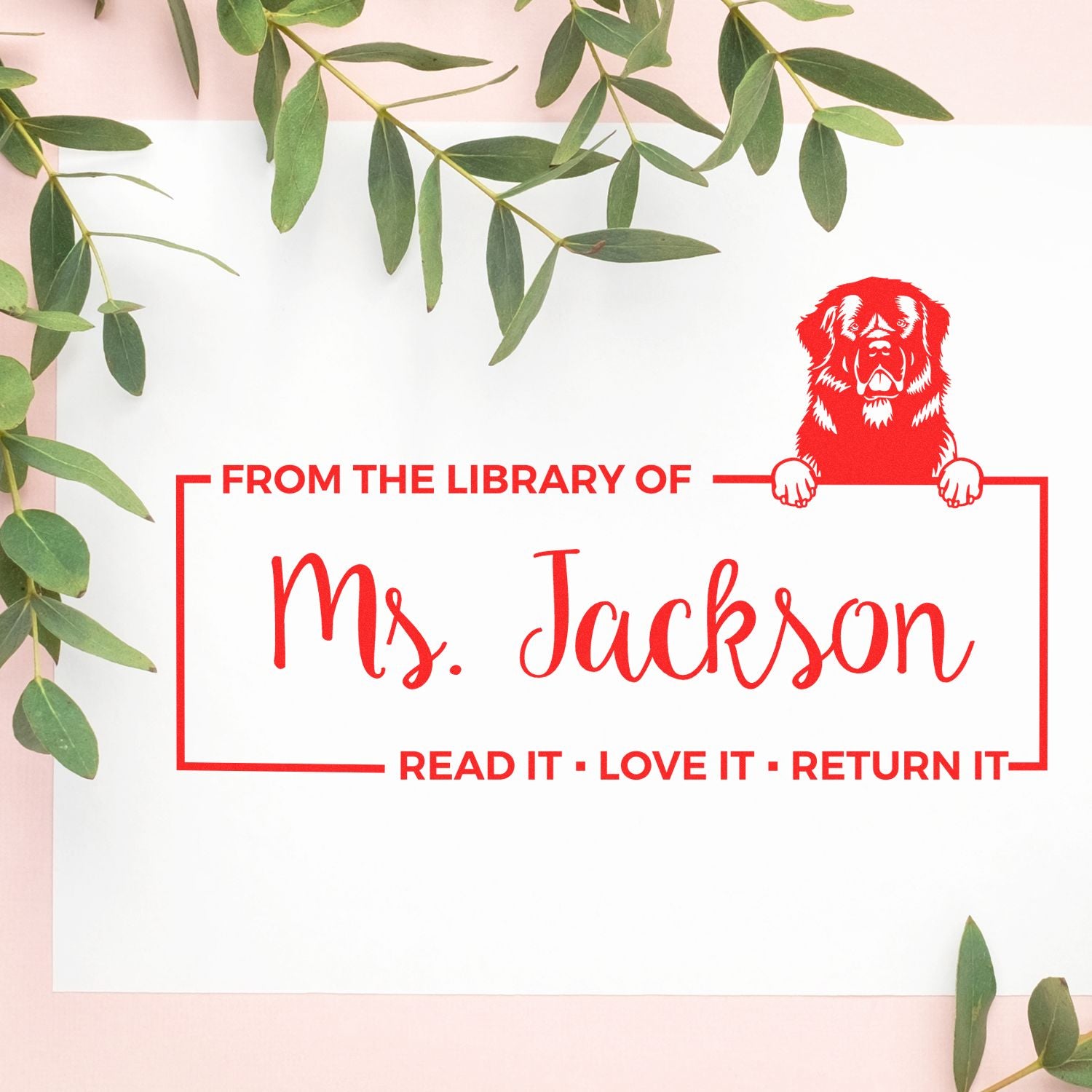 Custom library book return rubber stamp with dog illustration and personalized From the Library of Ms. Jackson bookplate design