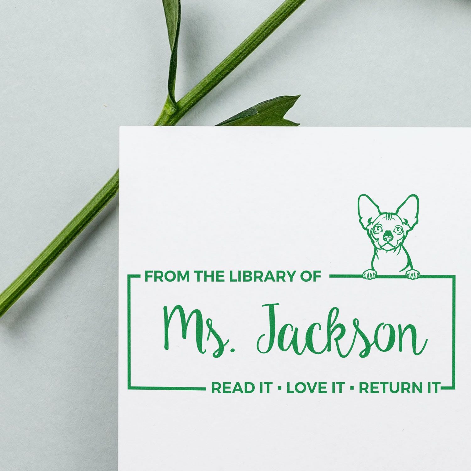 Personalized rubber library stamp for Ms. Jackson with dog icon and From the Library Of return-book message