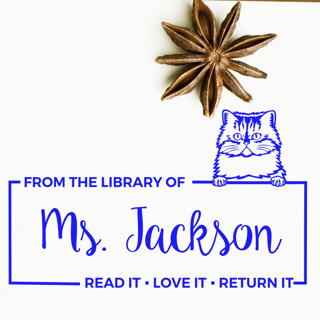 Personalized library rubber stamp for Ms. Jackson with cat bookplate design and Read it, Love it, Return it text.