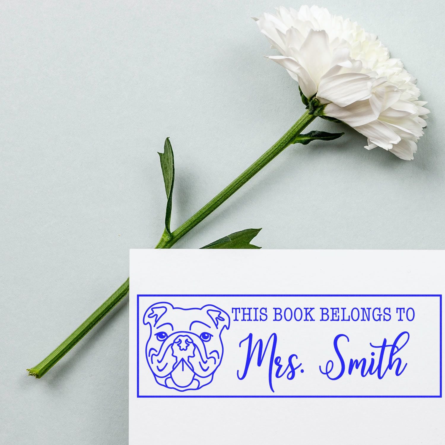 Personalized bulldog book stamp reading This Book Belongs to Mrs. Smith on a custom ex libris rubber stamp card.