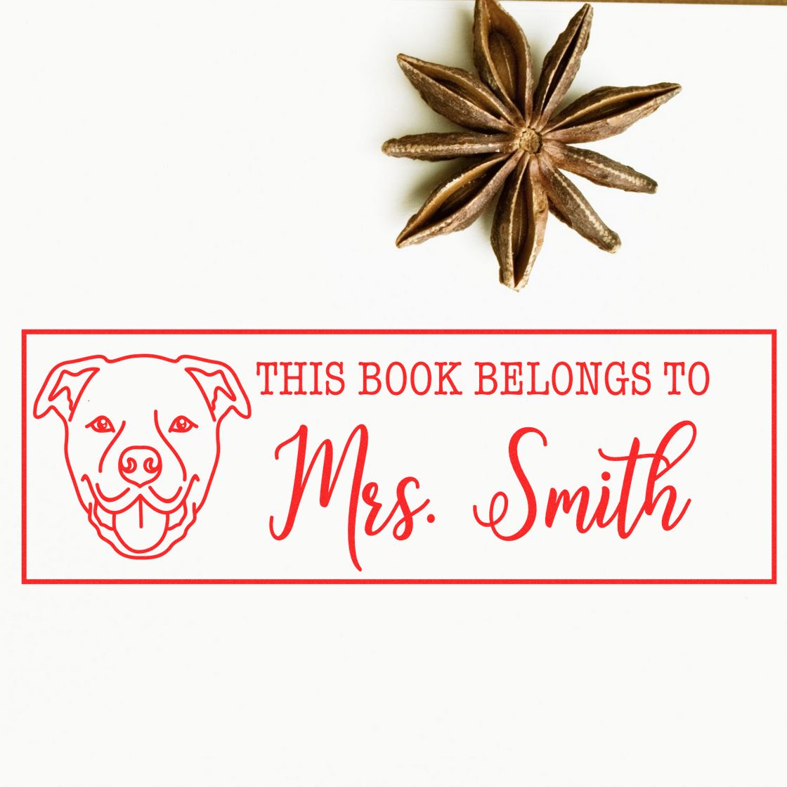 Personalized dog bookplate rubber stamp reading This Book Belongs to Mrs. Smith for custom library books.
