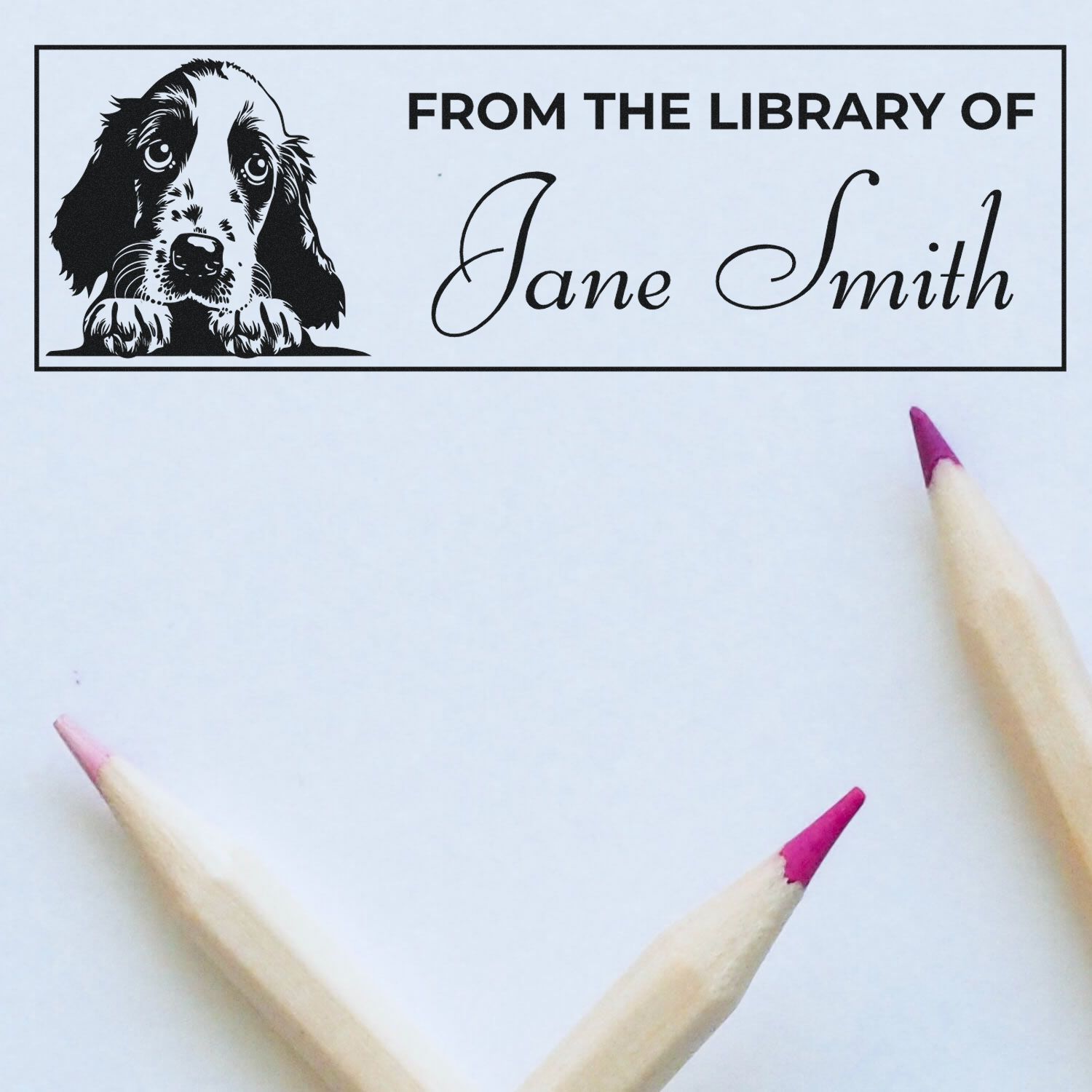 Custom dog library rubber stamp reading From the Library of Jane Smith for personalized bookplates and library marking.