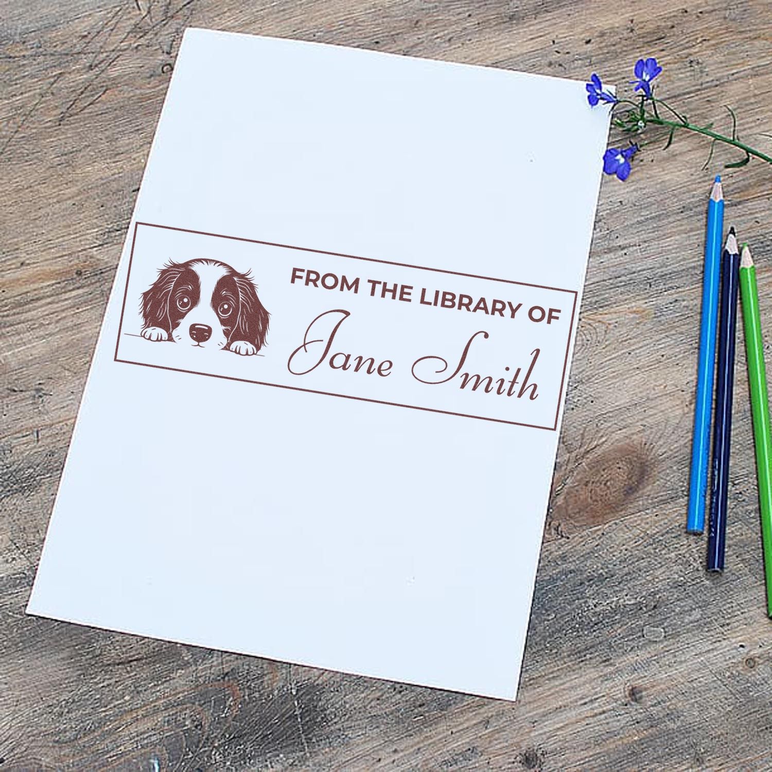 Personalized dog library rubber stamp reading From the Library of Jane Smith for custom book ownership.