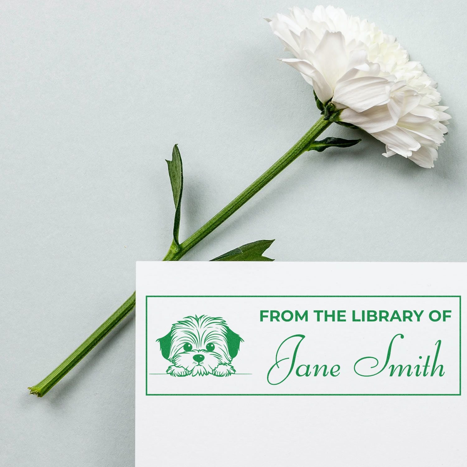 Personalized From the Library Of rubber stamp with dog design and Jane Smith name for custom bookplates.