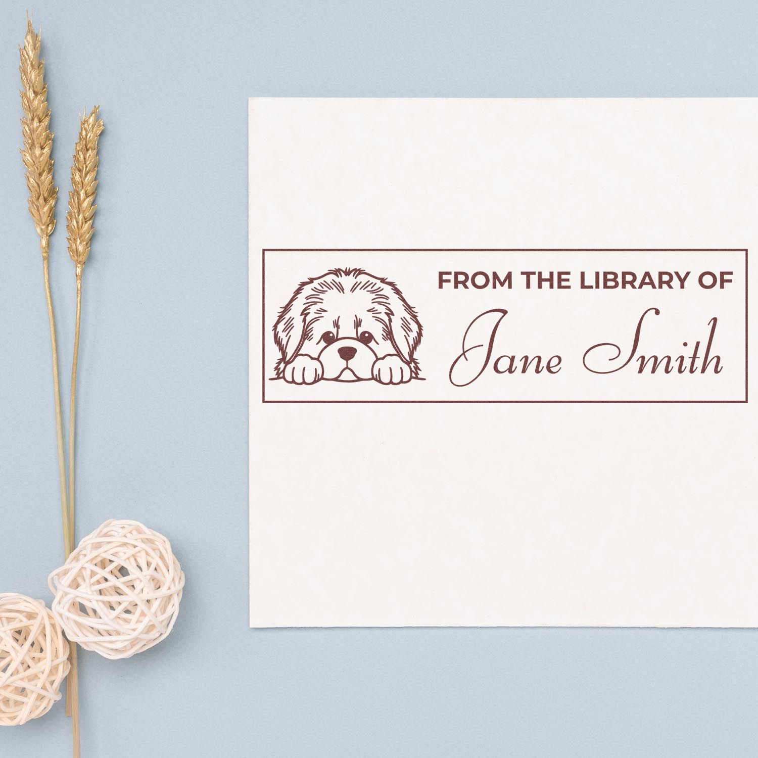 Custom dog bookplate rubber stamp reading From the Library of Jane Smith for personalized books and gifts.