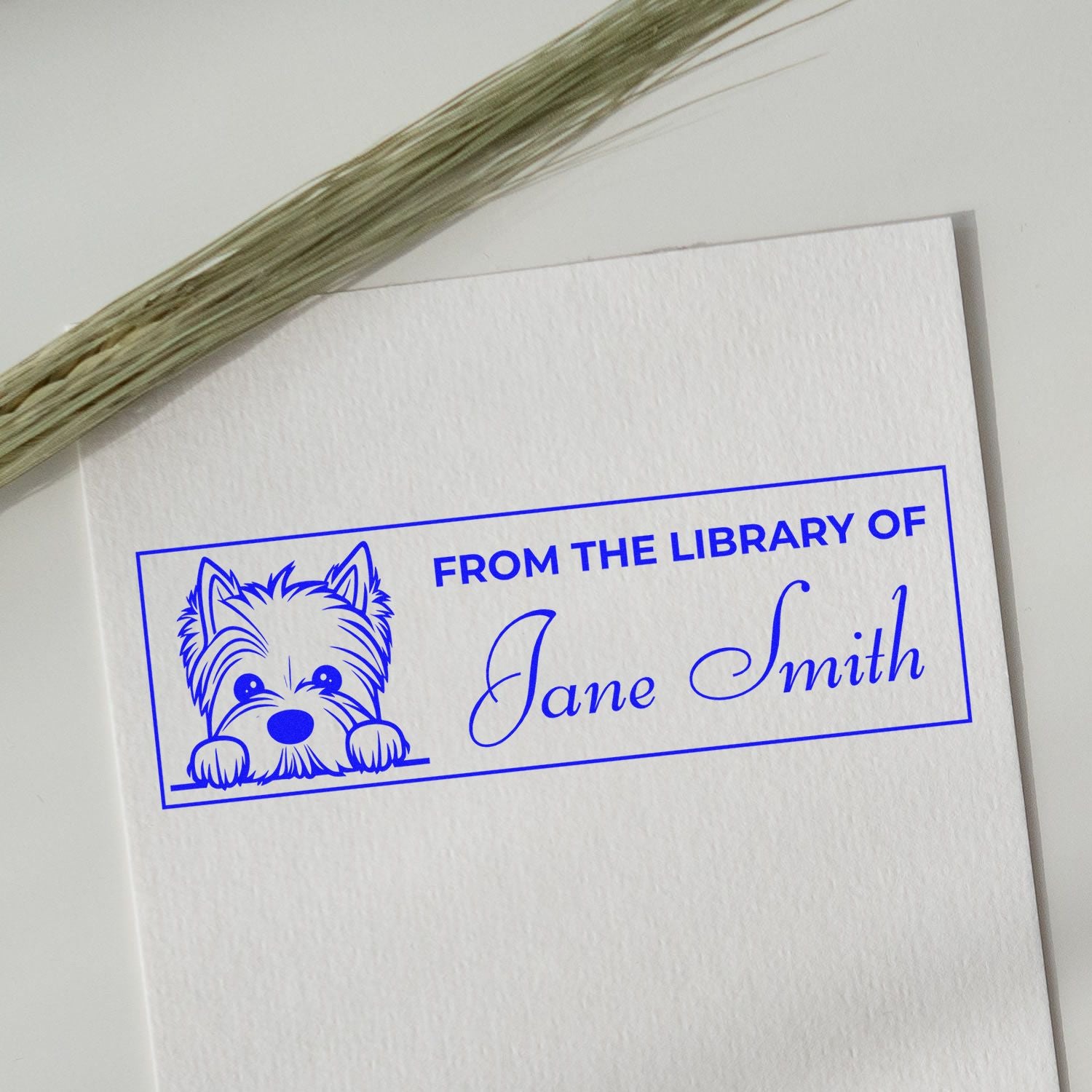Custom dog library stamp for Jane Smith, featuring From the Library Of text and a playful terrier illustration.