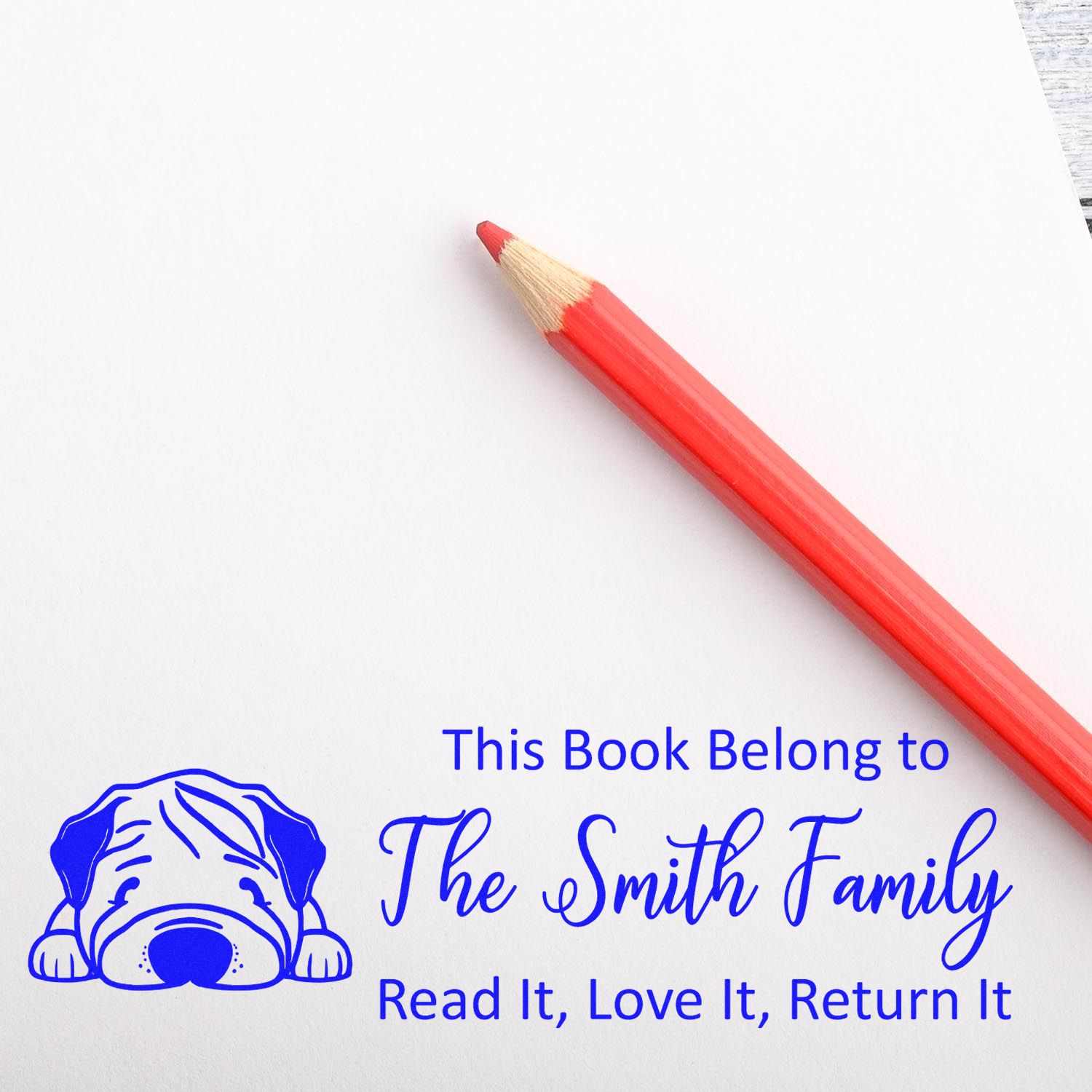 Personalized rubber book stamp with dog illustration and family name, reading This Book Belongs To for custom library books.