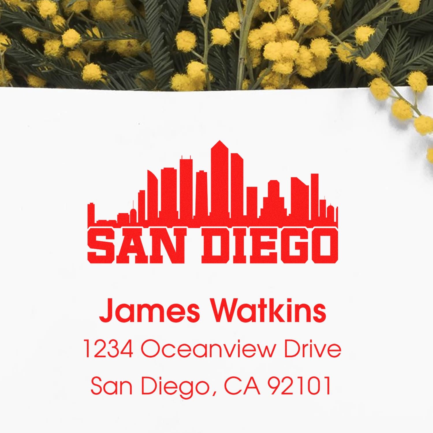 Custom San Diego return address rubber stamp with skyline logo, personalized name, and mailing address.