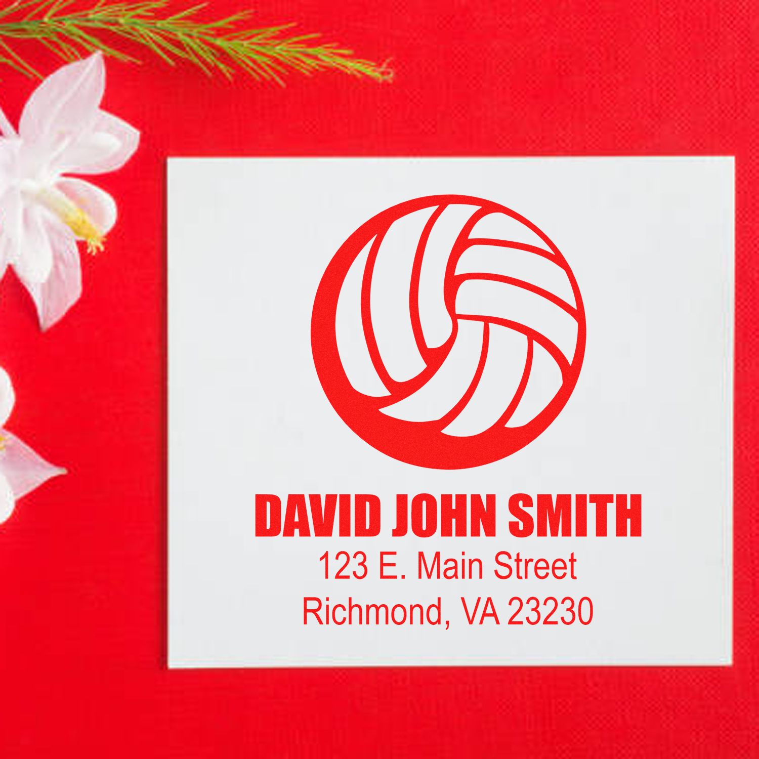 Custom rubber stamp with volleyball logo, David John Smith name, and Richmond, VA address.