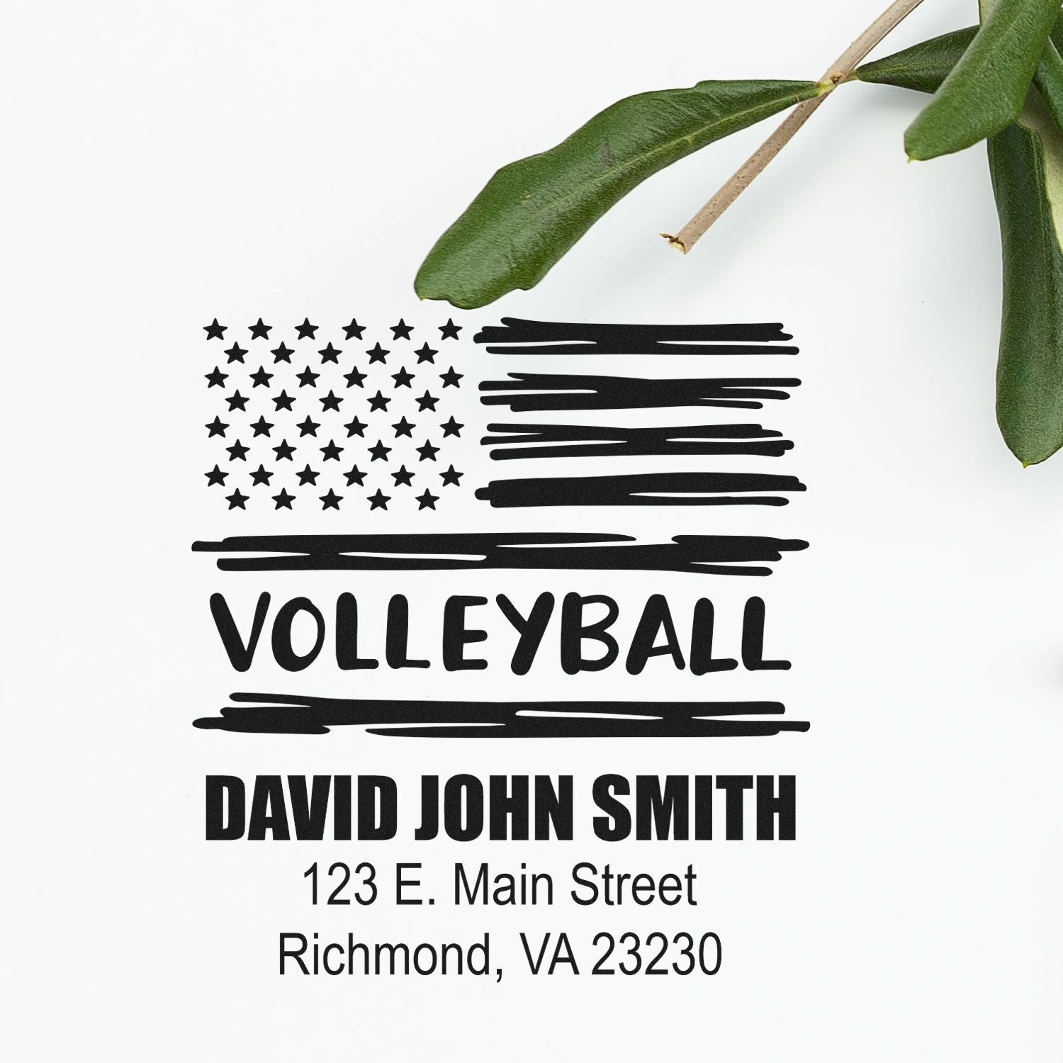 Custom volleyball address stamp with American flag design, personalized name, and return address for mail and packaging.