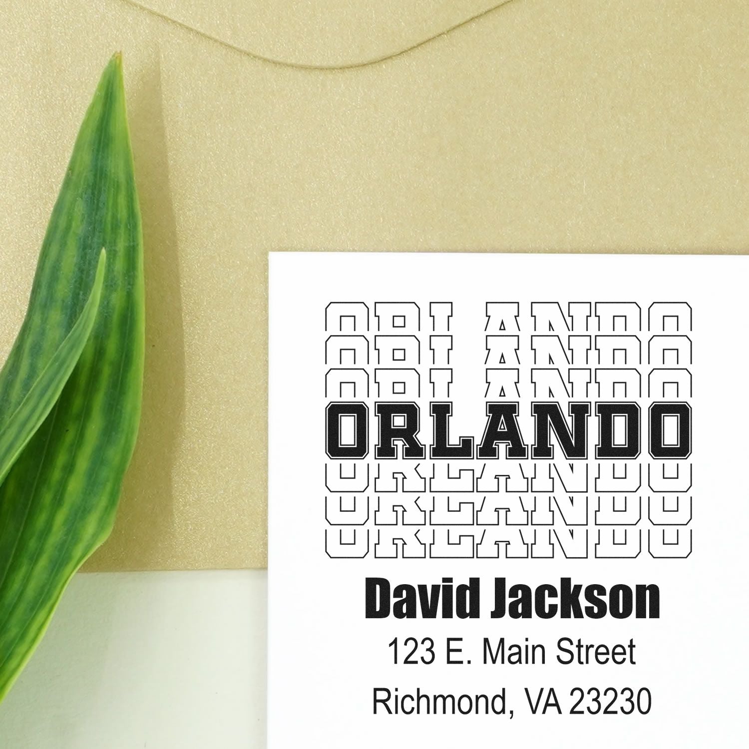 Custom Orlando rubber stamp with David Jackson return address, Richmond, VA 23230, for business mailings.
