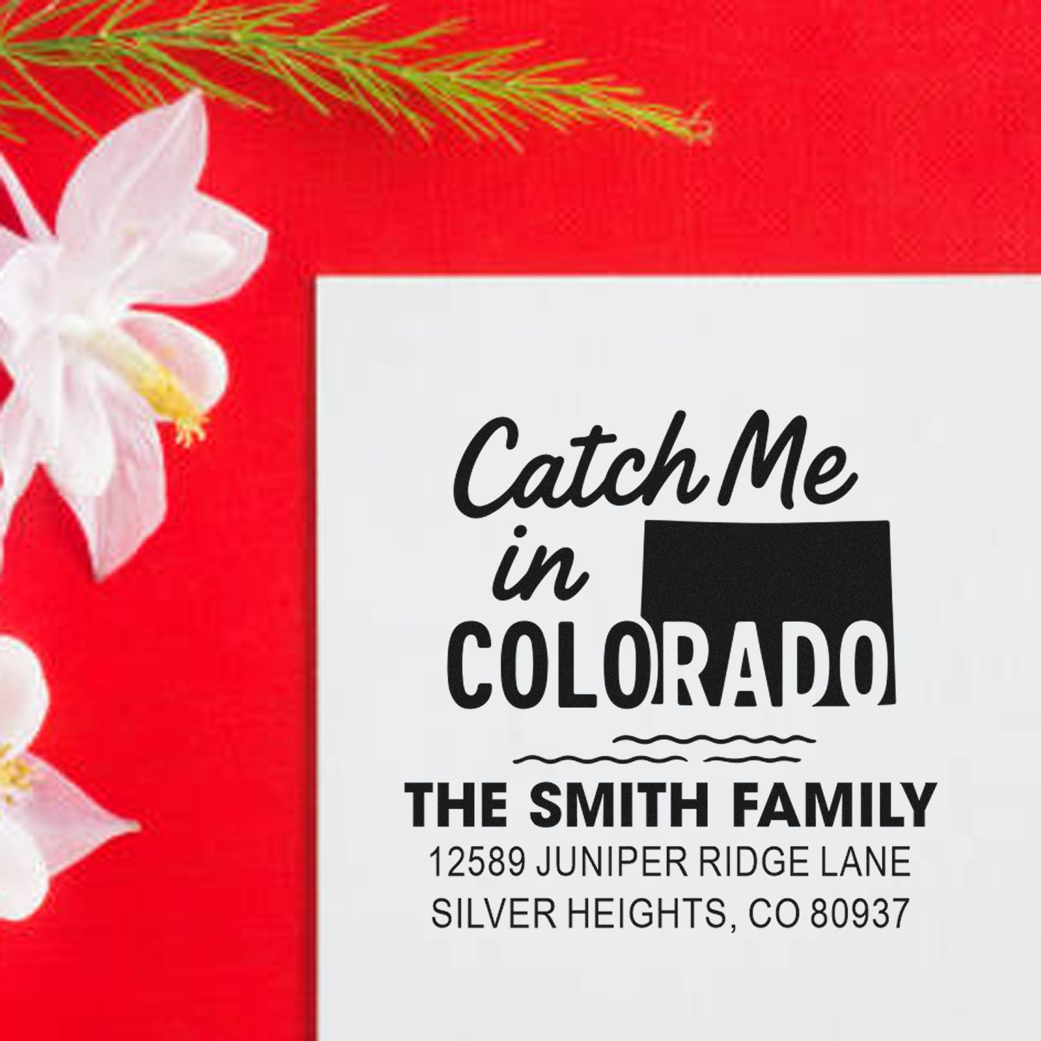 Custom Colorado return address rubber stamp for The Smith Family with Catch Me in Colorado and Silver Heights address.