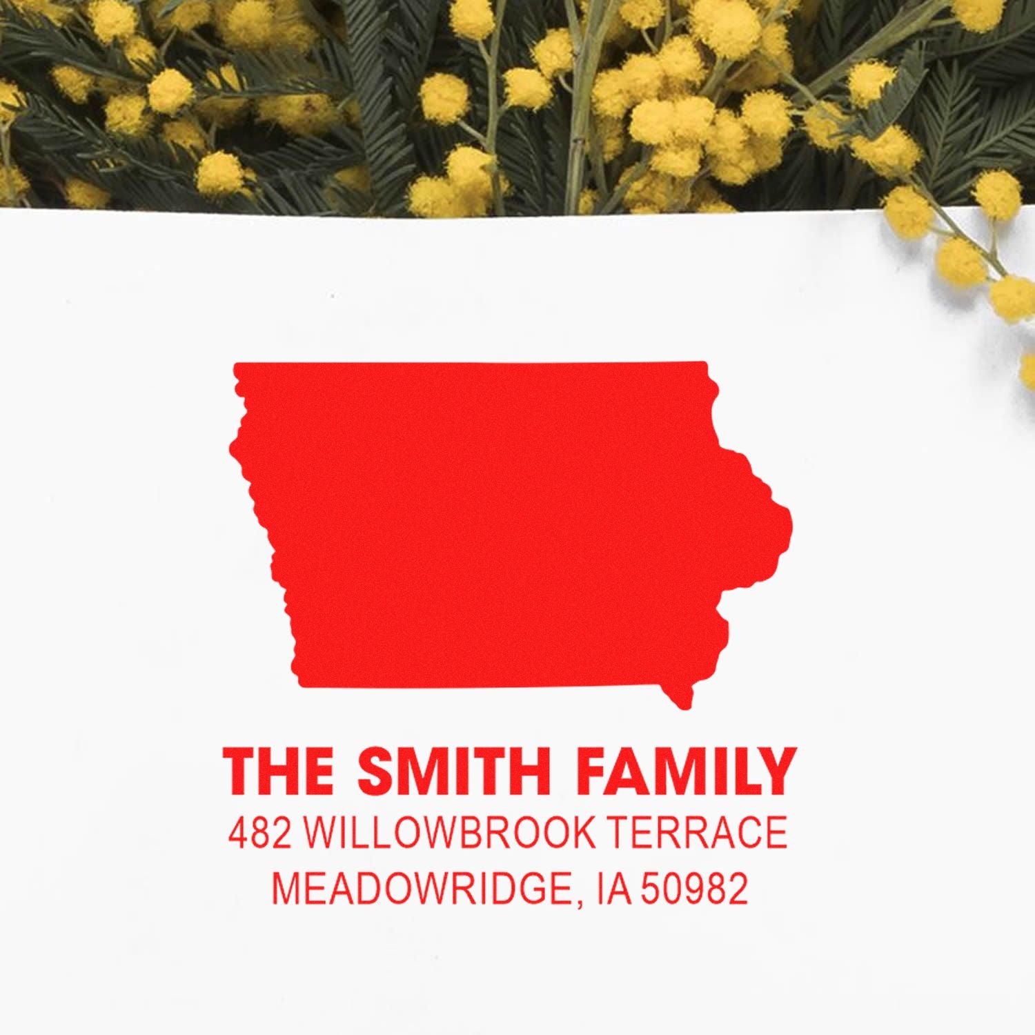 Custom Iowa return address rubber stamp for The Smith Family, 482 Willowbrook Terrace, Meadowridge, IA 50982.