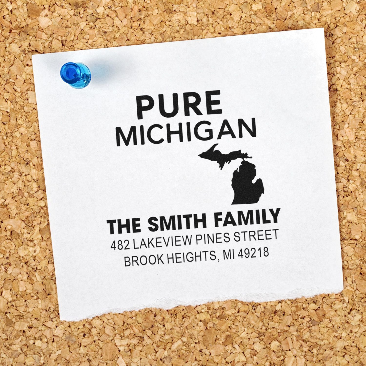 Custom return address rubber stamp with Pure Michigan design, Michigan silhouette, and The Smith Family address.