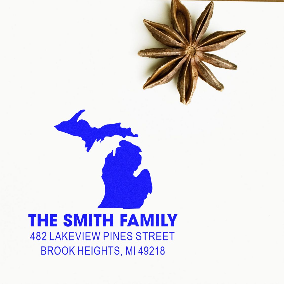 Custom Michigan return address rubber stamp for The Smith Family, Brook Heights, MI, with blue ink impression.