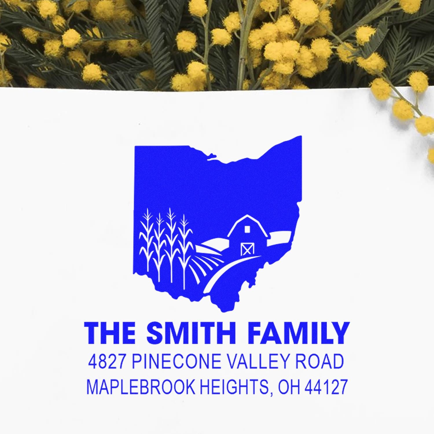 Personalized Ohio farm return address rubber stamp for The Smith Family with custom name and address.