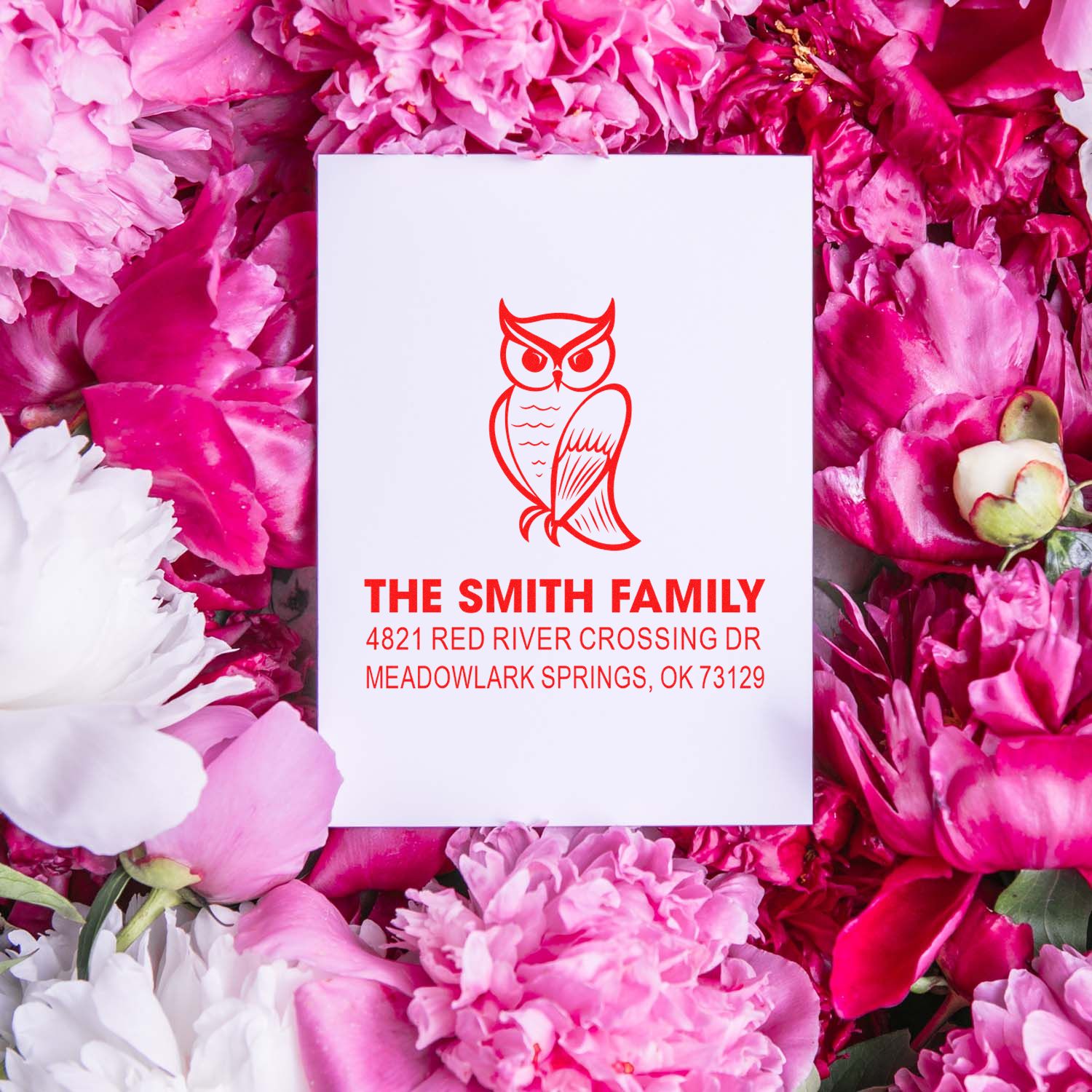 Personalized custom rubber stamp with owl design and return address for The Smith Family, 4821 Red River Crossing Dr, Meadowlark Springs, OK 73129