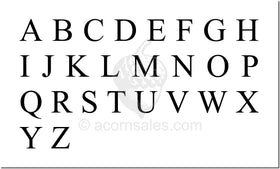 Times New Roman Font