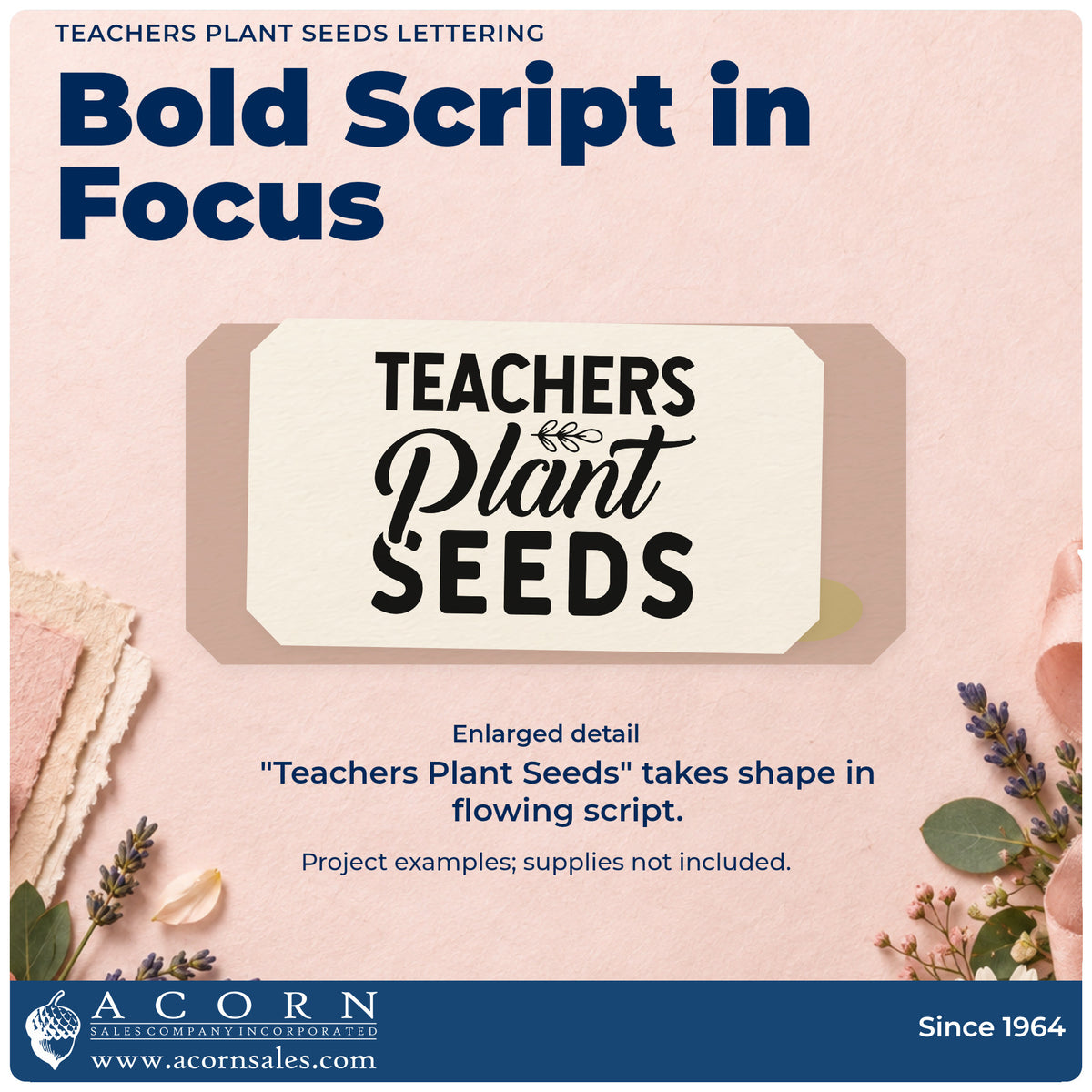 Enlarged detail of the Teachers Plant Seeds Lettering Premium Wood-Mounted Stamp – Vintage Pro imprint. “Teachers Plant Seeds” combines bold block letters, flowing script, and a leafy accent.