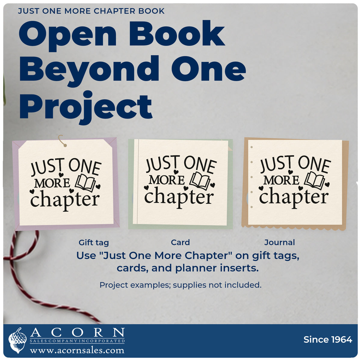 Three project examples made with the Just One More Chapter Book With Hearts Rubber Stamp – Wood Handle, including shelf slot labels.